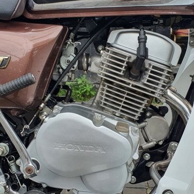Honda CD125T mod by Tự thanh Đa
